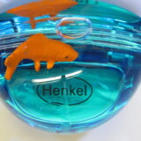 Mouse / Fish